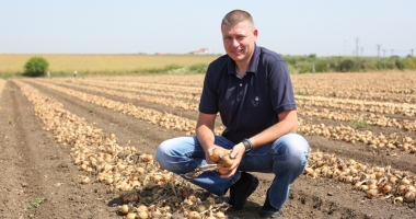Stire din Social : Fructe și legume dobrogene în toate magazinele Carrefour din țară