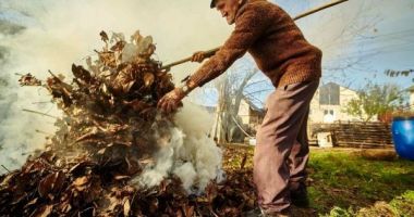 Stire din Social : Ce nu ai voie sa faci dacă stai la curte. Riști o amendă consistentă