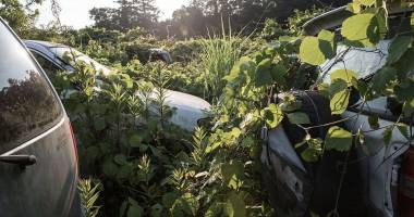 Galerie foto impresionantă. Cum arată zona Fukushima la patru ani după tsunamiul devastator - 4