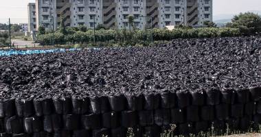 Galerie foto impresionantă. Cum arată zona Fukushima la patru ani după tsunamiul devastator - 8