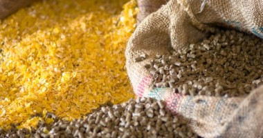 Stire din Economie : Alertă în Europa: Toxină cancerigenă în furaje