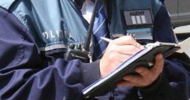 Stire din Actualitate : Bărbat, cercetat pentru tăiere ilegală de arbori