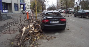 DEZASTRU. Audi, distrus de un copac căzut pe strada Traian - GALERIE FOTO - 2