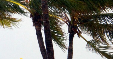 Stire din Actualitate : Florida, amenințată de furtuna tropicală "Andrea"