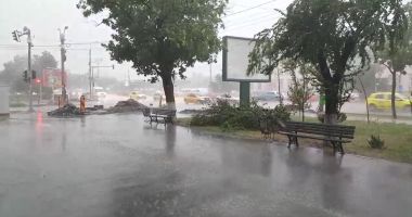 COD GALBEN DE FURTUNĂ, la Constanța