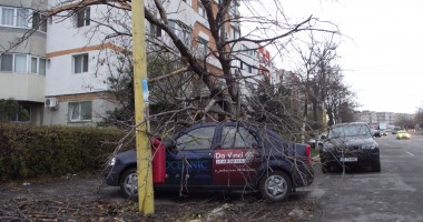DEZASTRU. Audi, distrus de un copac căzut pe strada Traian - GALERIE FOTO - 8