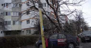 DEZASTRU. Audi, distrus de un copac căzut pe strada Traian - GALERIE FOTO - 7