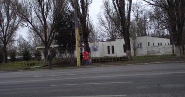 DEZASTRU. Audi, distrus de un copac căzut pe strada Traian - GALERIE FOTO - 6
