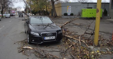 DEZASTRU. Audi, distrus de un copac căzut pe strada Traian - GALERIE FOTO - 5