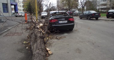 DEZASTRU. Audi, distrus de un copac căzut pe strada Traian - GALERIE FOTO - 4