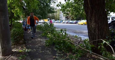 Vijelii și inundații la Constanța. A plouat într-o zi cât pentru o lună - 4