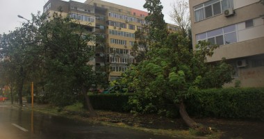 Stire din Eveniment : Transportat la spital după ce a fost lovit de crengi desprinse dintr-un copac