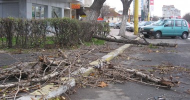 GALERIE FOTO CONSTANȚA / Furtuna a smuls copacii din rădăcină - 3