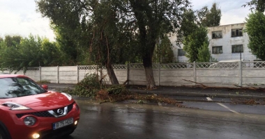 Vijelii și inundații la Constanța. A plouat într-o zi cât pentru o lună - 16