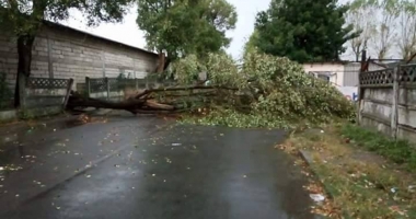 Vijelii și inundații la Constanța. A plouat într-o zi cât pentru o lună - 18