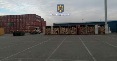 GALERIE FOTO. Stejar pentru export, trecut cherestea în acte, depistat de poliţişti, Portul Constanţa Sud Agigea - 2