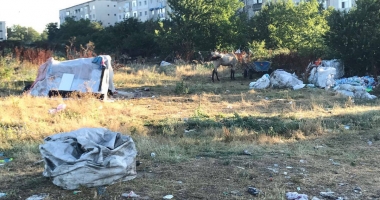 GALERIE FOTO / În sfârșit, Poliția Locală a "curățat" groapa de gunoi de la capătul străzii Delavrancea - 4