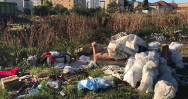 GALERIE FOTO / În sfârșit, Poliția Locală a "curățat" groapa de gunoi de la capătul străzii Delavrancea - 5