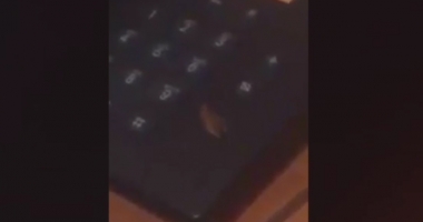 Polițist cercetat după ce a filmat un gândac - 2