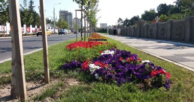La Constanța, beton și sârmă ghimpată, la Buzău, imagine europeană. De ce unii pot, iar alții… - 4