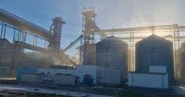 Stire din Social : Societatea care operează cereale în zona Digul de Nord, amendată de inspectorii de mediu