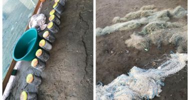 Garda de Coastă. Peşte, icre negre și plase de pescuit, confiscate de polițiștii de frontieră - 1
