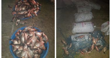 Captură la Garda de Coastă: sute de kilograme de pește braconat, confiscat! - 2