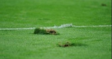 Steaua – Schalke 04 se joacă pe 15 septembrie