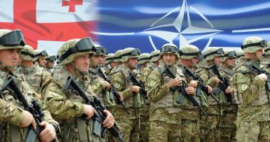 Stire din Actualitate : Georgia și NATO au lansat un exercițiu militar comun