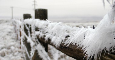 Stire din Social : Ninsori și viscol, astăzi, la Constanța