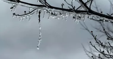 Stire din Social : Alertă ANM de vreme rea. Revin zăpezile și gerul în Dobrogea