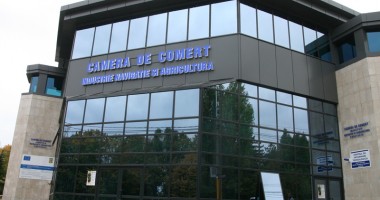 Stire din Economie : Germana, limbă importantă pentru constănțenii din mediul de afaceri