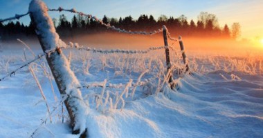 Stire din Actualitate : Temperaturile extreme din Europa nu sunt un fenomen neobișnuit