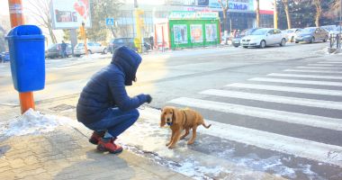 Stire din Social : Ger şi ninsori, săptămâna aceasta, în zona litoralului