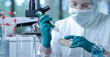 Stire din Actualitate : În alertă! Virusul Zika face ravagii