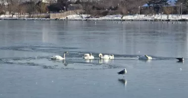 Stire din Social : Avertizări meteo pentru Dobrogea. Val de frig și temperaturi extrem de scăzute
