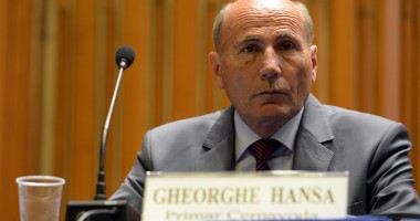 SOLUȚII / Ce vor face primarii pentru DISPARIȚIA MAIDANEZILOR de pe străzi - 2
