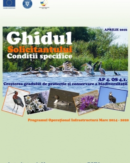Ghiduri pentru accesarea fondurilor europene - 3
