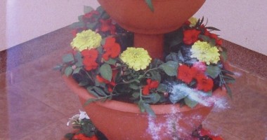 Stire din Diverse : Ghivecele din plastic, pe placul plantelor?