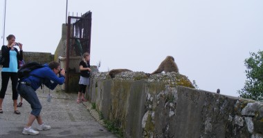 Gibraltar: Anglia din sudul Spaniei | GALERIE FOTO - 5