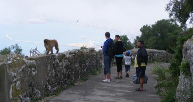 Gibraltar: Anglia din sudul Spaniei | GALERIE FOTO - 7