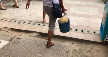 IMAGINI GREU DE PRIVIT! OPC CONSTANȚA A MERS PE URMELE CELOR CARE VÂND GOGOȘI. E JALE CE S-A GĂSIT! - 4