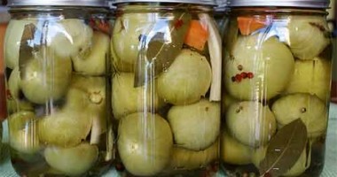 Gogonele picante