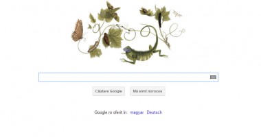 Stire din Social : Logo Google dedicat artistei Maria Sibylla Merian
