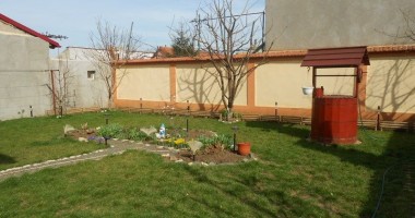 Vezi aici care sunt cele mai frumoase grădini ale Constanței | GALERIE FOTO - 4