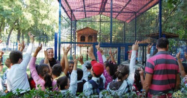Stire din Politică-Administrație : Primarul Matei a invitat 40 de copii  la mini grădina sa zoologică