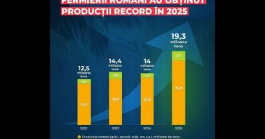 Stire din Economie : An bun pentru agricultură. Producții record la cereale și rapiță
