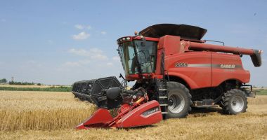 Stire din Economie : Producția de grâu a României ar putea scădea din cauza secetei prelungite