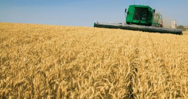 Stire din Economie : Cum se anunță următoarea săptămână pentru agricultorii din Dobrogea
