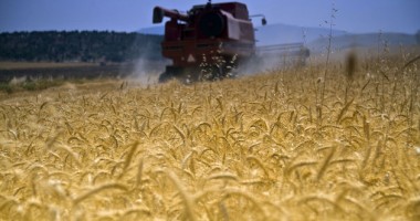 Stire din Economie : Tu ți-ai depus cererea de sprijin pe suprafață? Mai ai la dispoziție câteva zile